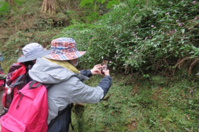 嘉義林管處舉辦「寶庫阿里山~iNaturalist 四季森林生物速查趣」活動，讓學員透過實際使用iNaturalist app，培養科學調查核心素養